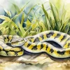 Burmese Python Diamond Painting