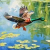 Flying Duck Diamond Painting