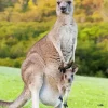 Kangaroo And Baby Diamond Painting