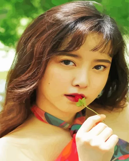 koo hye sun Dimaond By Numbers Koo Hye Sun Diamond Painting