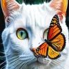 Butterfly Cat Diamond Painting