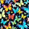 Colorful Butterflies Diamond Painting