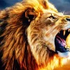 Furious Lion Animal Art Diamond Painting