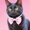 Kitten With Pink Bow Diamond Painting