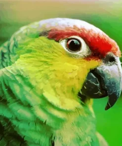 Lilacine Amazon Bird Diamond Painting