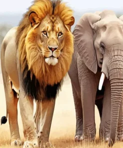 Lion And Elephant Diamond Painting