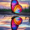 Butterfly Reflection Diamond Painting