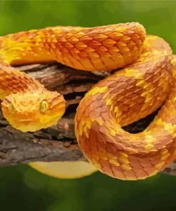 Yellow Orange Bush Snake Diamond Painting