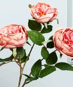 Cabbage Roses Diamond Painting