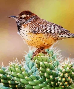 Cactus Wren Bird Diamond Painting
