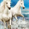 Horses Beach Diamond Painting