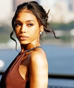 Lori Harvey Diamond Painting
