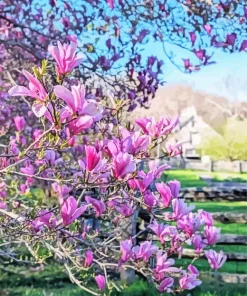 Magnolia Tree Diamond Painting