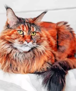 Maine Coon Cat Diamond Painting