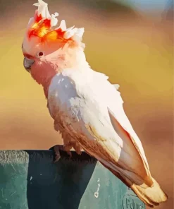 Pink Cockatoo Bird Diamond Painting