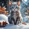 Baby Cat In Snow Diamond Painting