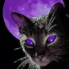 Black Cat And Purple Moon Diamond Painting