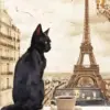 Black Cat In Paris City Diamond Painting