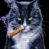 Black Cat Smoking Cigarette Diamond Painting