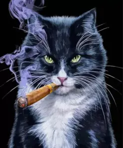 Black Cat Smoking Cigarette Diamond Painting