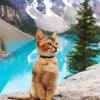 Cat In Banff Canada Diamond Painting