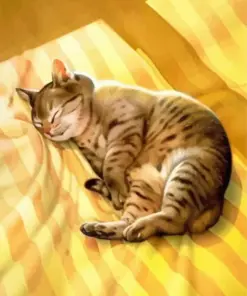 Cat Nap Diamond Painting