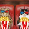 Cats Eating Popcorn In Cinema Diamond Painting