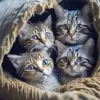 Cats Hiding Under The Blanket Diamond Painting