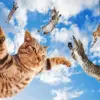Cats In The Sky Diamond Painting