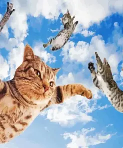 Cats In The Sky Diamond Painting