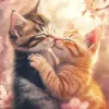 Cute Cats Kissing Diamond Painting