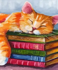Ginger Cat Sleeping On Books Diamond Painting