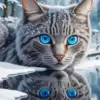 Grey Cat Reflection Diamond Painting