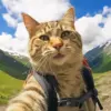 Short Haired Cat Taking Selfie Diamond Painting