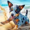 Blue Heeler Diamond Painting