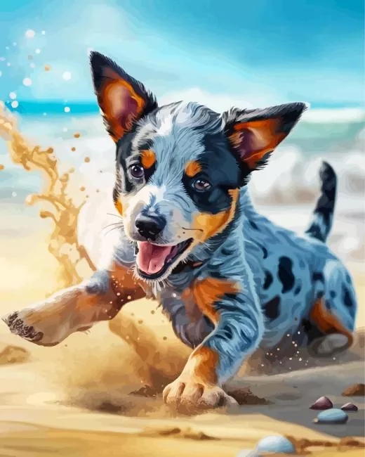 blue heeler Diamond Paintings Blue Heeler Diamond Painting