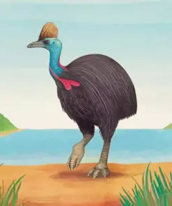 Cassowary Bird Art Diamond Painting