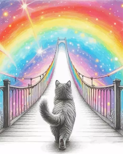 cat over the rainbow bridge Diamond Paintings Cat Over The Rainbow Bridge Diamond Painting