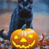 Cat Pumpkin Diamond Painting
