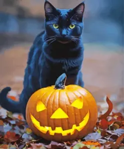 Cat Pumpkin Diamond Painting