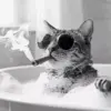 Cat Smoking In Bathroom Diamond Painting