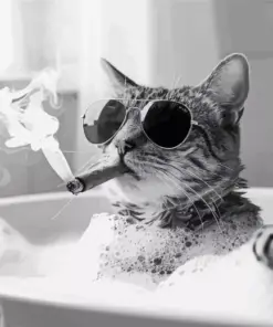 Cat Smoking In Bathroom Diamond Painting