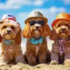 Cavalier King Charles Puppies Diamond Painting
