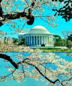 Cherry Blossom Jefferson Memorial Diamond Painting