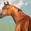 Chestnut Arabian Horse Diamond Painting