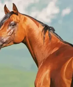 Chestnut Arabian Horse Diamond Painting
