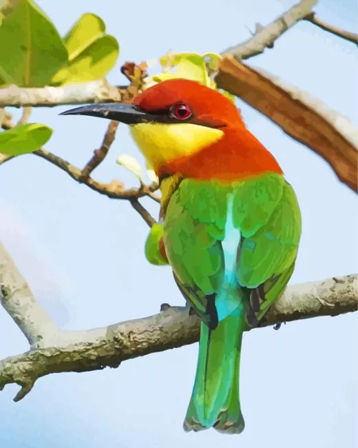 chestnut headed bee eater bird Diamond By Numbers Chestnut Headed Bee Eater Bird Diamond Painting