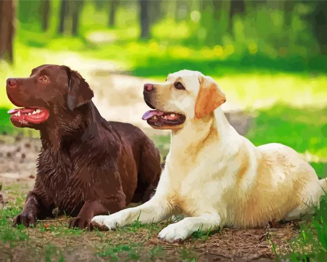 chocolate and yellow lab Diamond Paintings Chocolate And Yellow Lab Diamond Painting