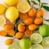 Citrus Fruit Diamond Painting
