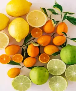 Citrus Fruit Diamond Painting